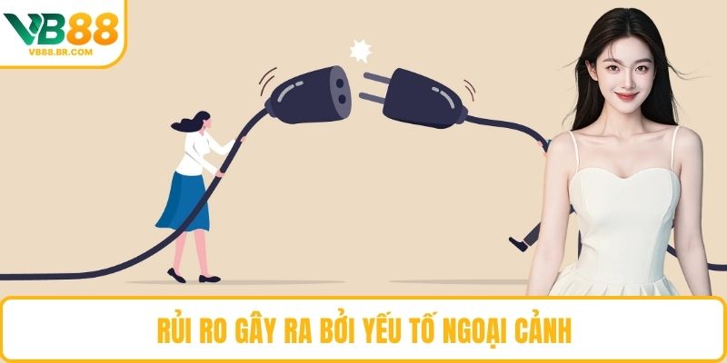 Rủi ro gây ra bởi yếu tố ngoại cảnh